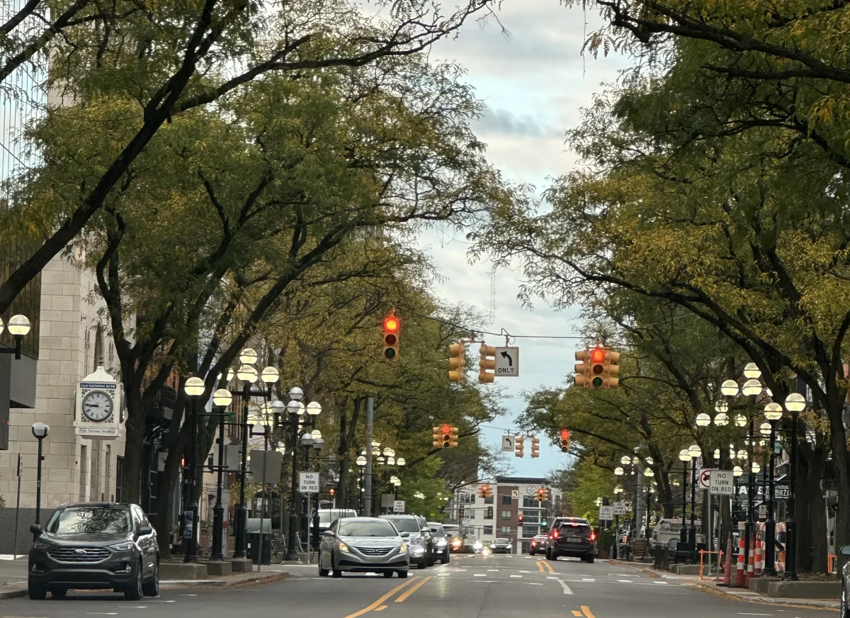 A tree-lined city street